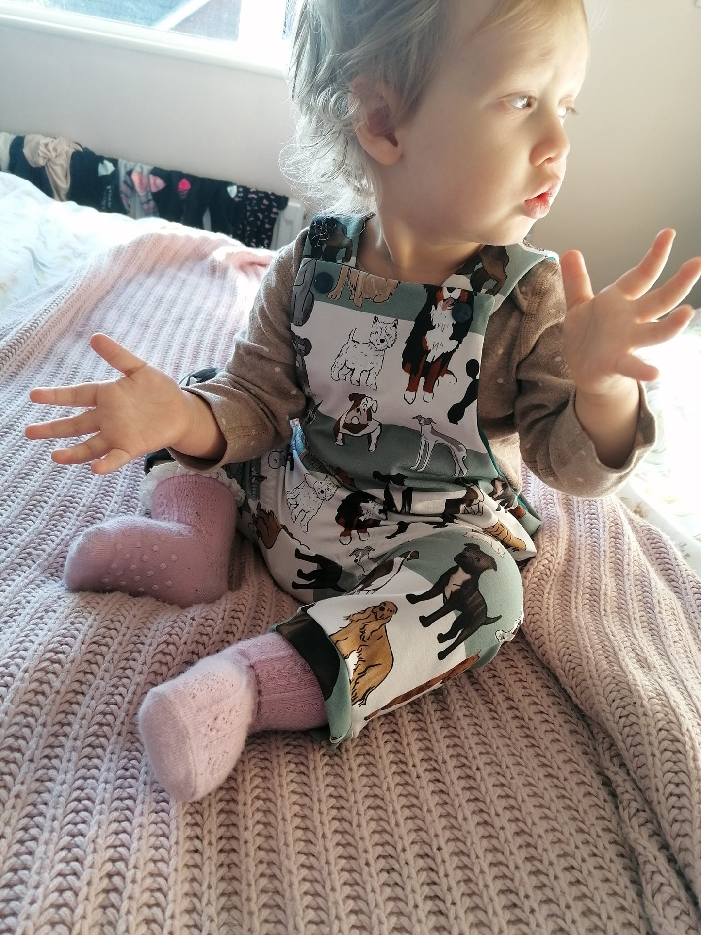 In stock - exclusive dogs on stripes jersey - Sunshine and Raebows