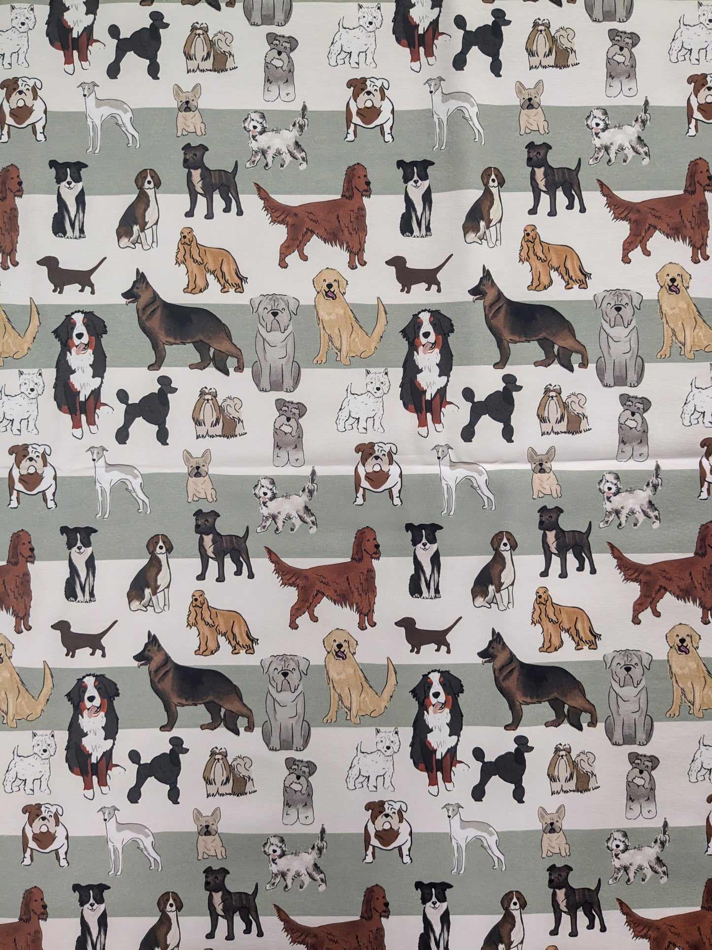 In stock - exclusive dogs on stripes jersey - Sunshine and Raebows