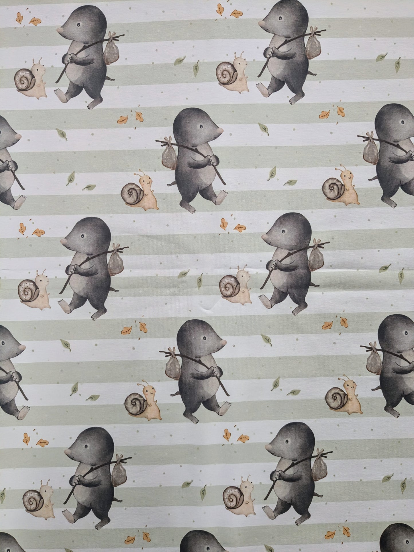 In stock - exclusive mole and snail jersey - Sunshine and Raebows