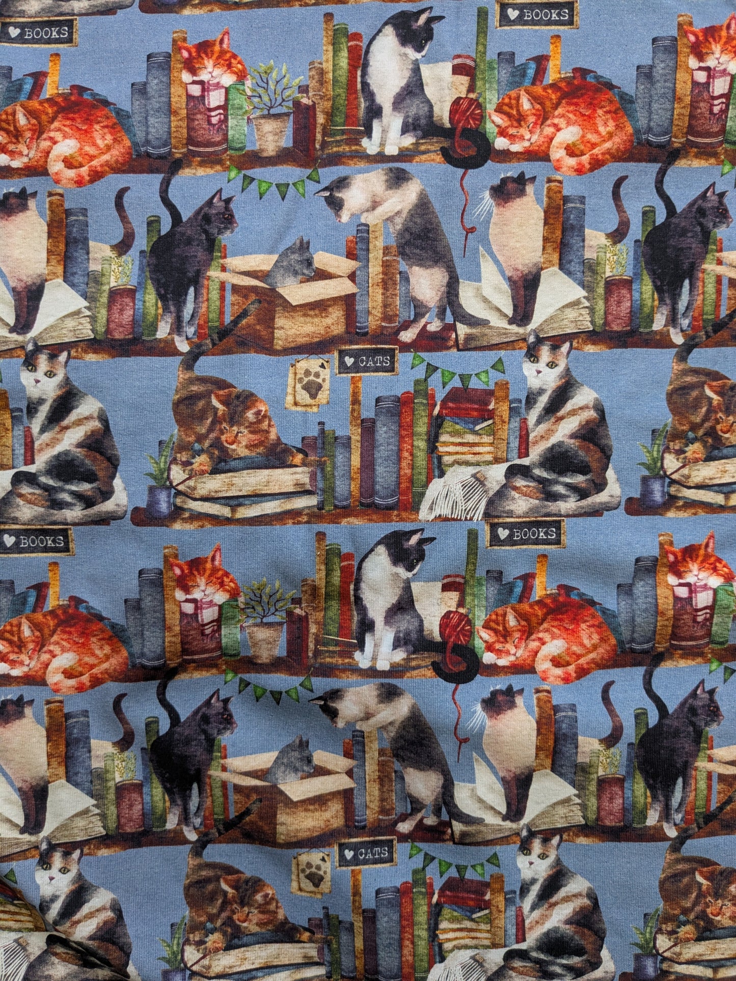 In stock - exclusive cat book shelf jersey