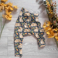 Load image into Gallery viewer, Bunny hop Willow pants/shorts (gusset and gussetless) - Sunshine and Raebows
