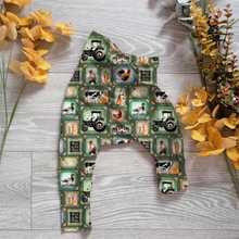 Load image into Gallery viewer, Farm yard adventures Willow pants/shorts (gusset and gussetless) - Sunshine and Raebows