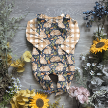 Load image into Gallery viewer, Bunny hop charlie romper - Sunshine and Raebows