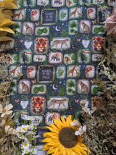 Load image into Gallery viewer, In stock - jungle exclusive jersey last item - Sunshine and Raebows