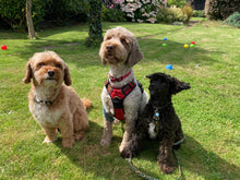 Load image into Gallery viewer, Dog poo bag holders - Sunshine and Raebows
