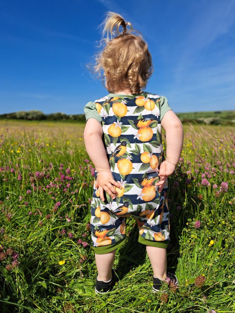 The Fergus Romper - SHORT - Sunshine and Raebows