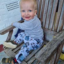 Load image into Gallery viewer, Willow pants/shorts (gusset and gussetless) - Sunshine and Raebows
