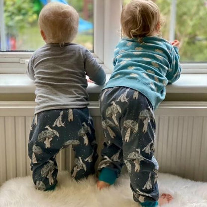 The Legend Harems - Sunshine and Raebows