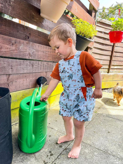 Treasure pocket romper - Sunshine and Raebows