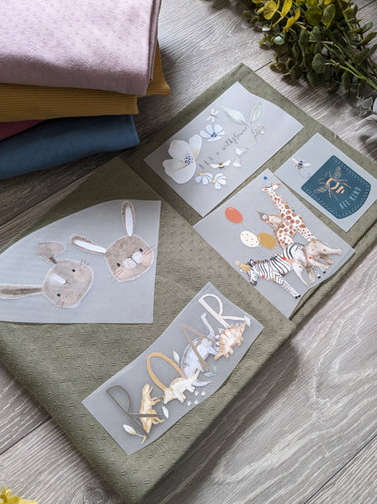 Add on - tranfers - Sunshine and Raebows