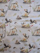 Load image into Gallery viewer, In stock - exclusive puffin rock jersey - Sunshine and Raebows
