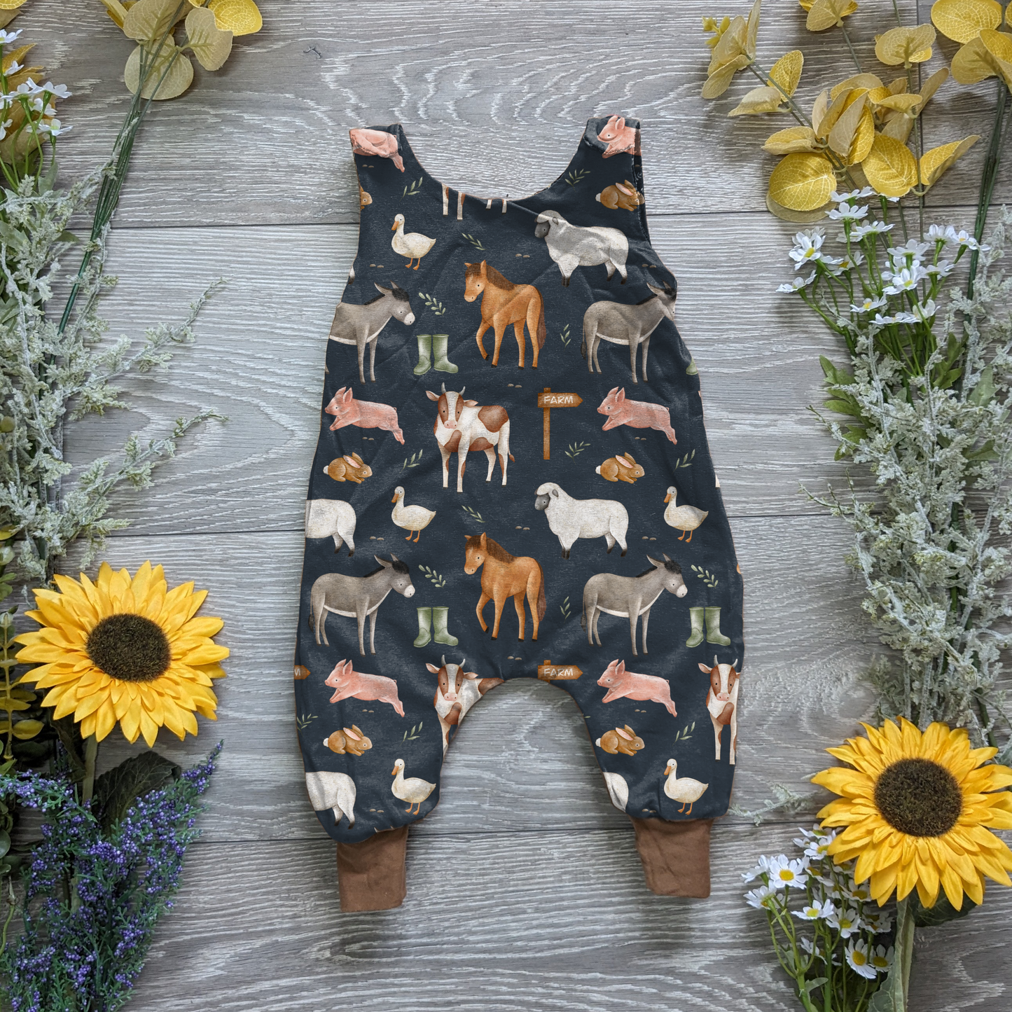 preorder- farm - Sunshine and Raebows