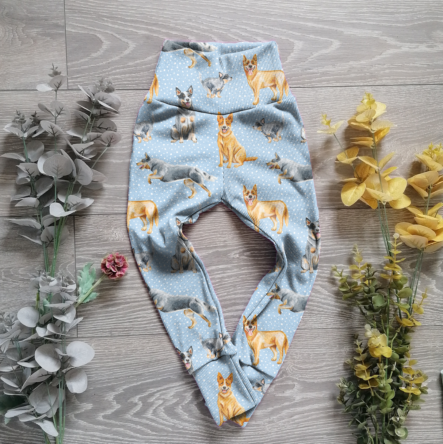 preorder - pets - Sunshine and Raebows