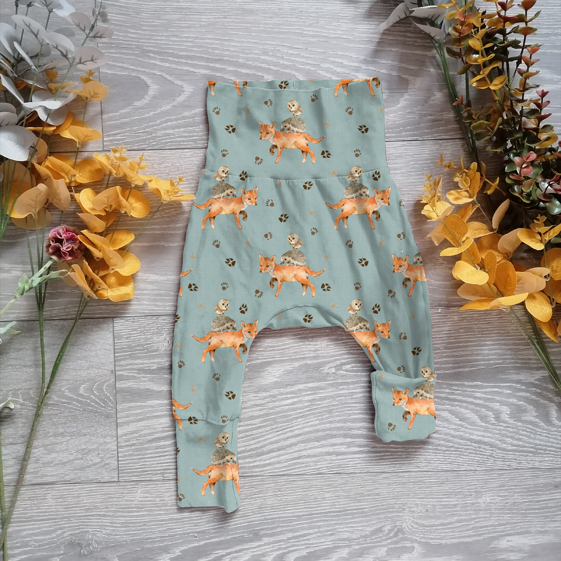 preorder- foxes - Sunshine and Raebows