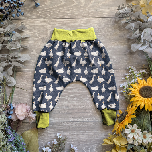 Waddle ducks The Legend Harems