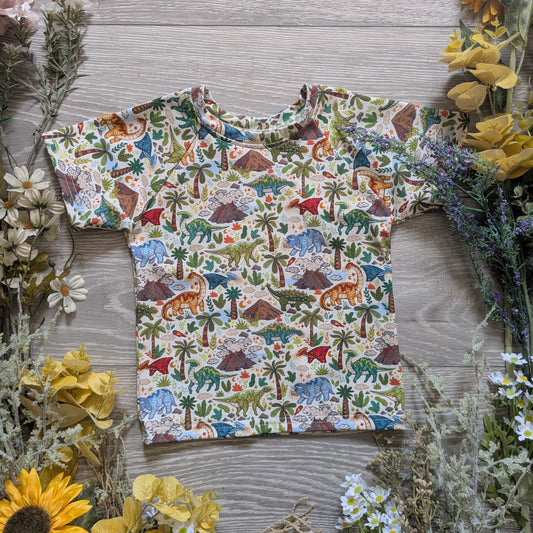 Dinoland Declan tee - Sunshine and Raebows