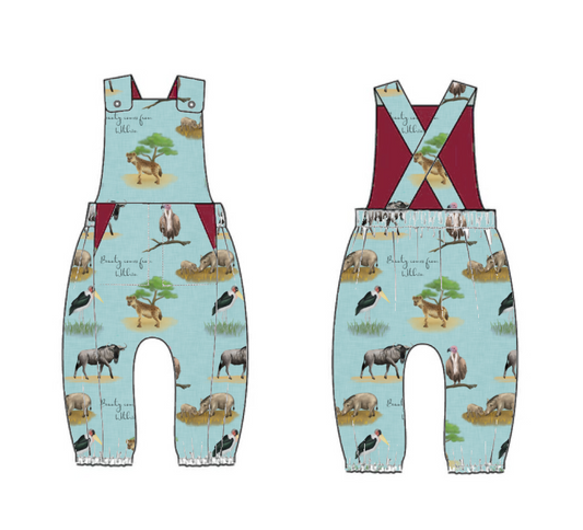 The beautiful five Treasure pocket romper