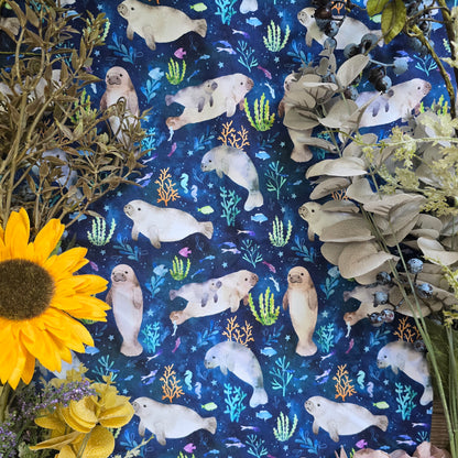Manatee Pocket flares - Sunshine and Raebows