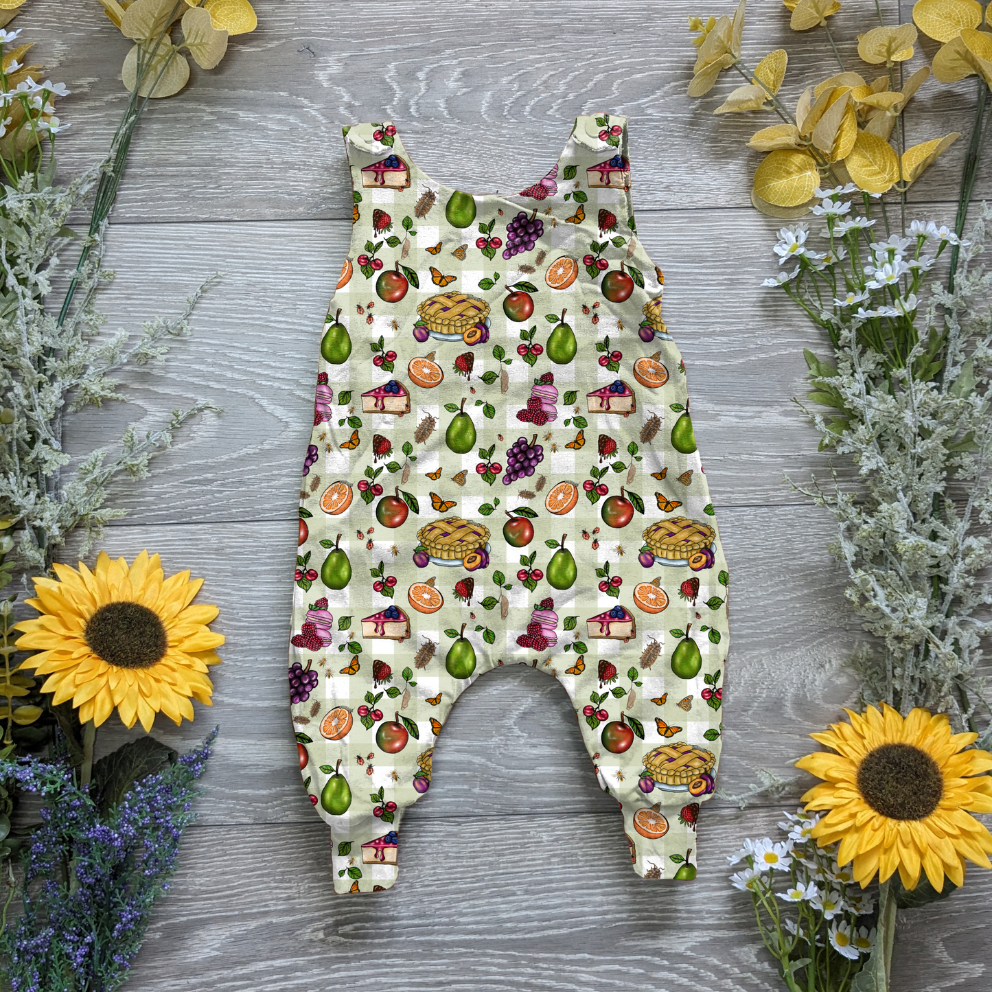 Bug picnic charlie romper