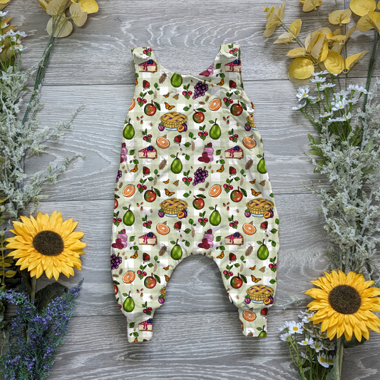 Bug picnic charlie romper