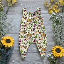 Load image into Gallery viewer, Bug picnic charlie romper - Sunshine and Raebows

