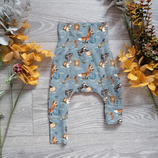 Music of the wild Willow pants/shorts (gusset and gussetless) - Sunshine and Raebows