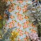 In stock - peaches exclusive jersey