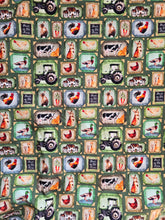 Load image into Gallery viewer, Farm yard adventures Spencer Trousers - Sunshine and Raebows
