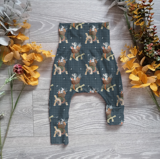 A slow spring morning Willow pants/shorts (gusset and gussetless)