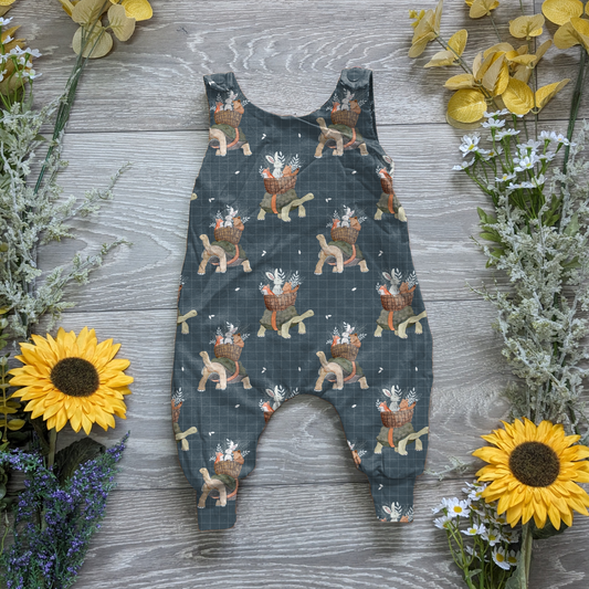 A slow spring morning charlie romper