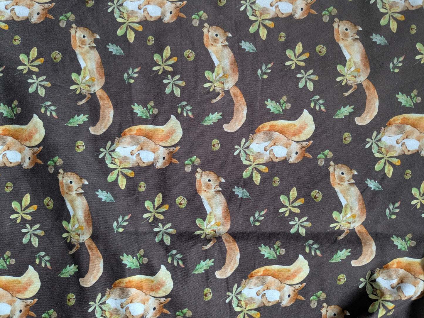 Squirrel french Terry 1-2 items