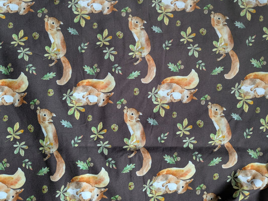 Squirrel french Terry 1-2 items