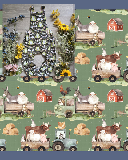 Day at the farm Treasure pocket romper (long and short) - Sunshine and Raebows