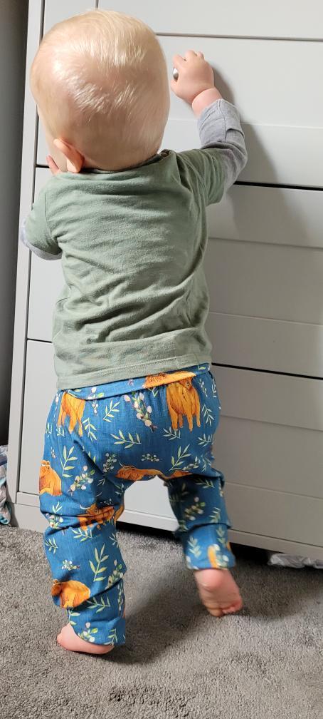 Willow pants/shorts - Sunshine and Raebows