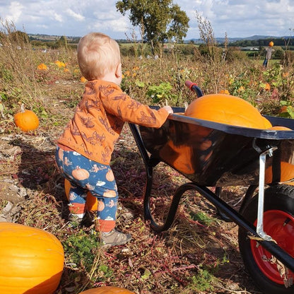 The Winnie Leggings - Sunshine and Raebows