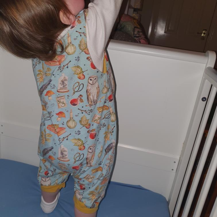 The Fergus Romper - SHORT - Sunshine and Raebows