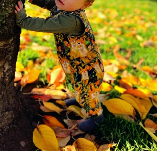 The Fergus Romper - LONG - Sunshine and Raebows